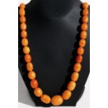 A butterscotch amber graduated bead necklace, the largest bead 2.8cms (1.1ins) wide, the necklace