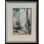 Early 20th century School - Lockford Water Gardens, Woodland Path Scene - watercolour, framed &