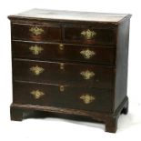 An oak chest of two short and three long graduated drawers, on bracket feet, 84cms (33ins) wide.