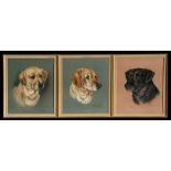 Marjory Cox (1915-2003) - Studies of Three Labradors - all singed & dated, pastel, framed &
