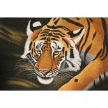 Mahesh (Indian) - Study of a Tiger - signed lower right, gouache, unframed, 102 by 76cms (40 by