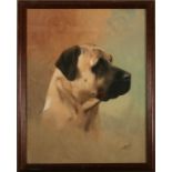 Sherwood - Study of a Mastiff - signed & dated '39 lower right, watercolour, framed & glazed, 35