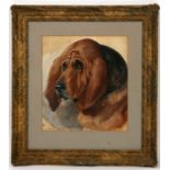 Alfred William Strutt (1856-1924) - Study of a Bloodhound - signed lower left, watercolour, framed &