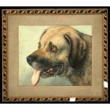 Alfred William Strutt (1856-1924) - Study of a Mastiff Hound - signed lower right, watercolour,