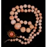 A Victorian graduated angel skin coral bead necklace with yellow metal clasp set with a pink coral
