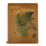 Heath (Frances George) - 'The Fern Portfolio'.