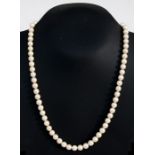 A cultured pearl necklace with sixty seven beads and 14ct gold pearl set clasp, each bead 6mm