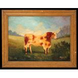 J Winters, Naive School- Shorthorn Bull - signed lower right, oil on board, framed, 49 by 37cms (