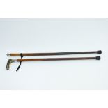 A walking stick with a silver collar and an antler handle, along with a malacca cane, with a