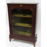 An early 20th Century line inlaid mahogany display cabinet having single glazed door enclosing green