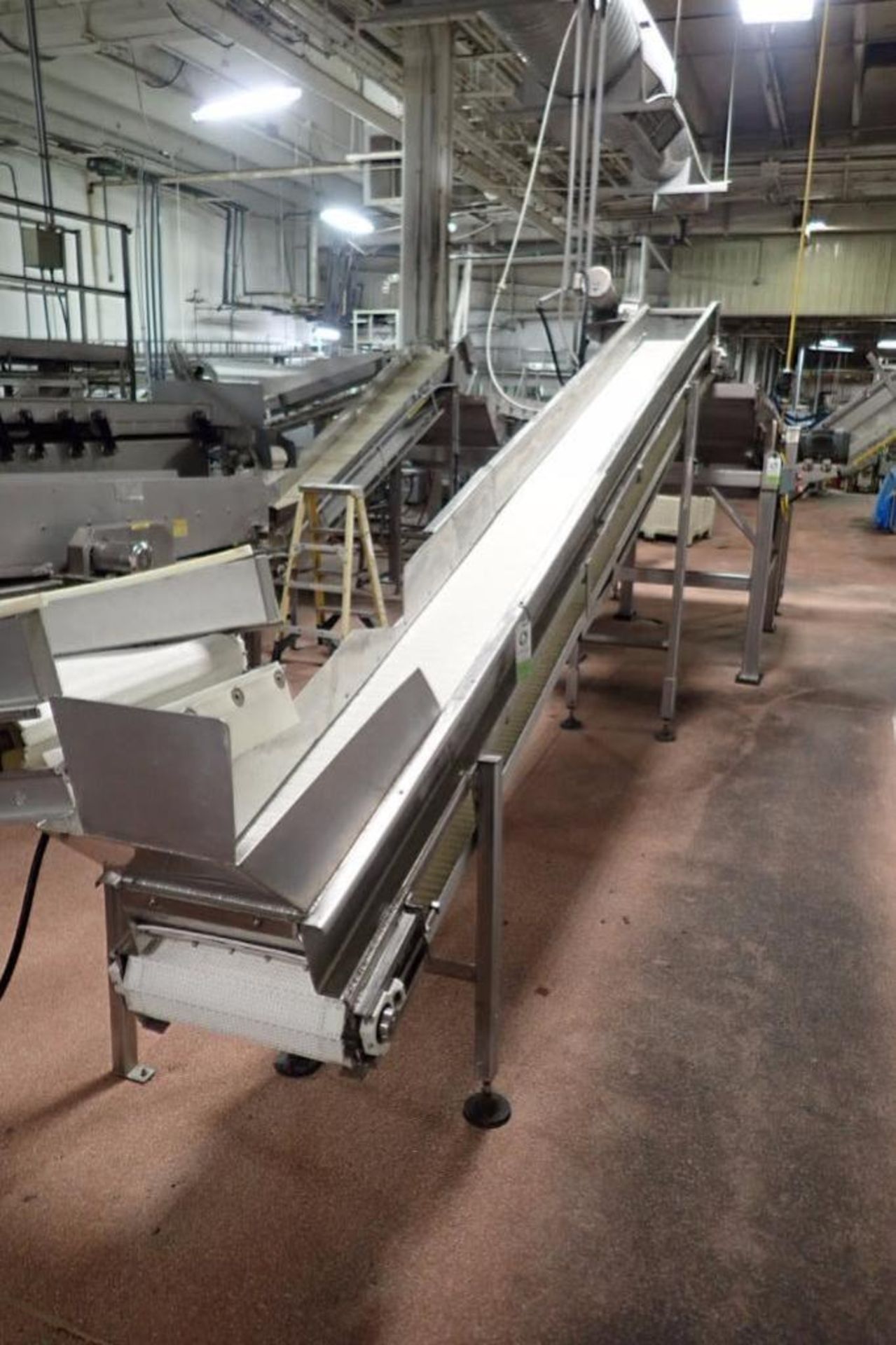 Incline conveyor, plastic belt, 17 ft. long x 14 in. wide x 36 in. infeed x 84 in. discharge, SS fra