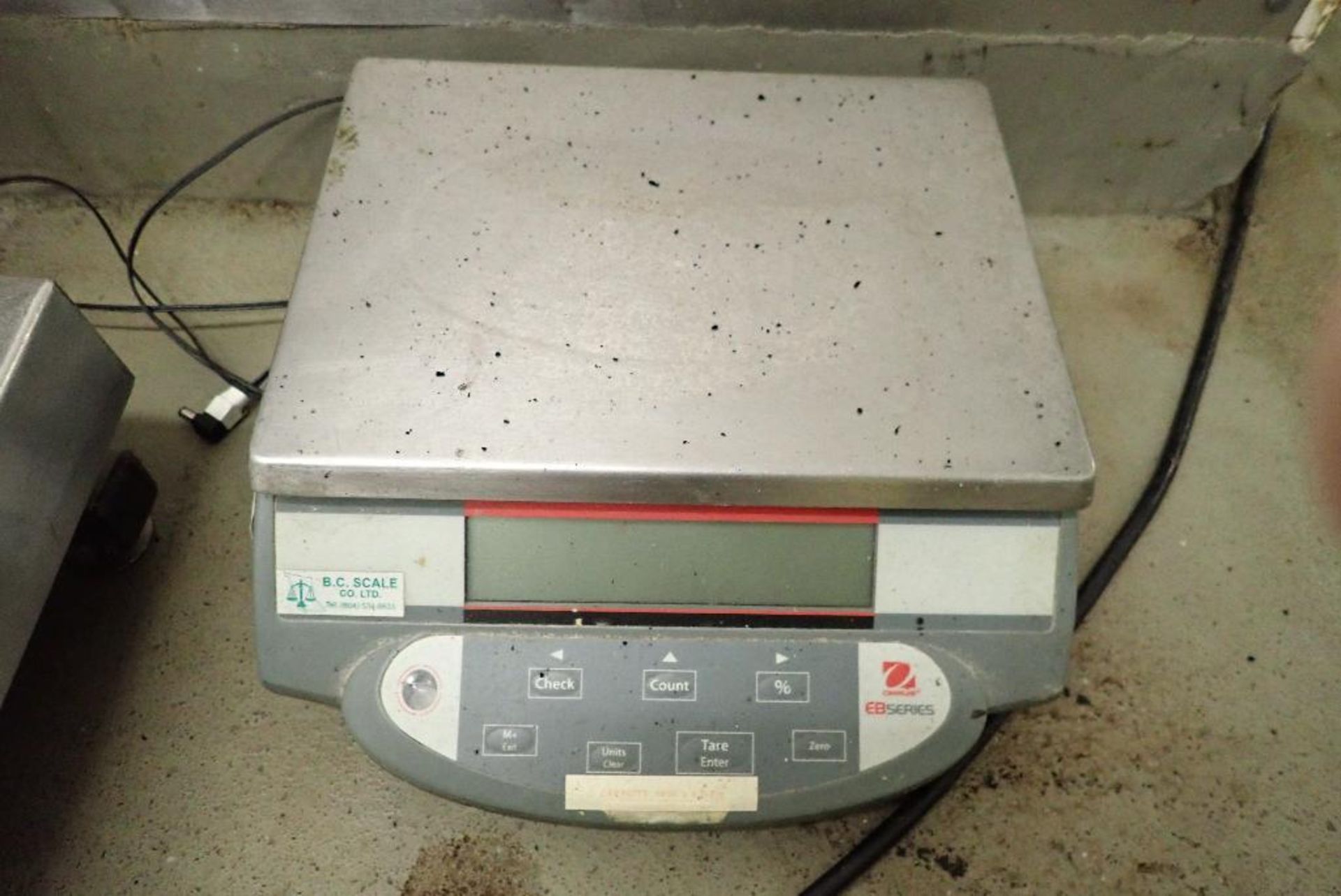 (3) table top scales, Cardinal bench scale, 6 kg capacity, 12 in. x 14 in. platform, Rice Lake IQPLU - Image 9 of 10
