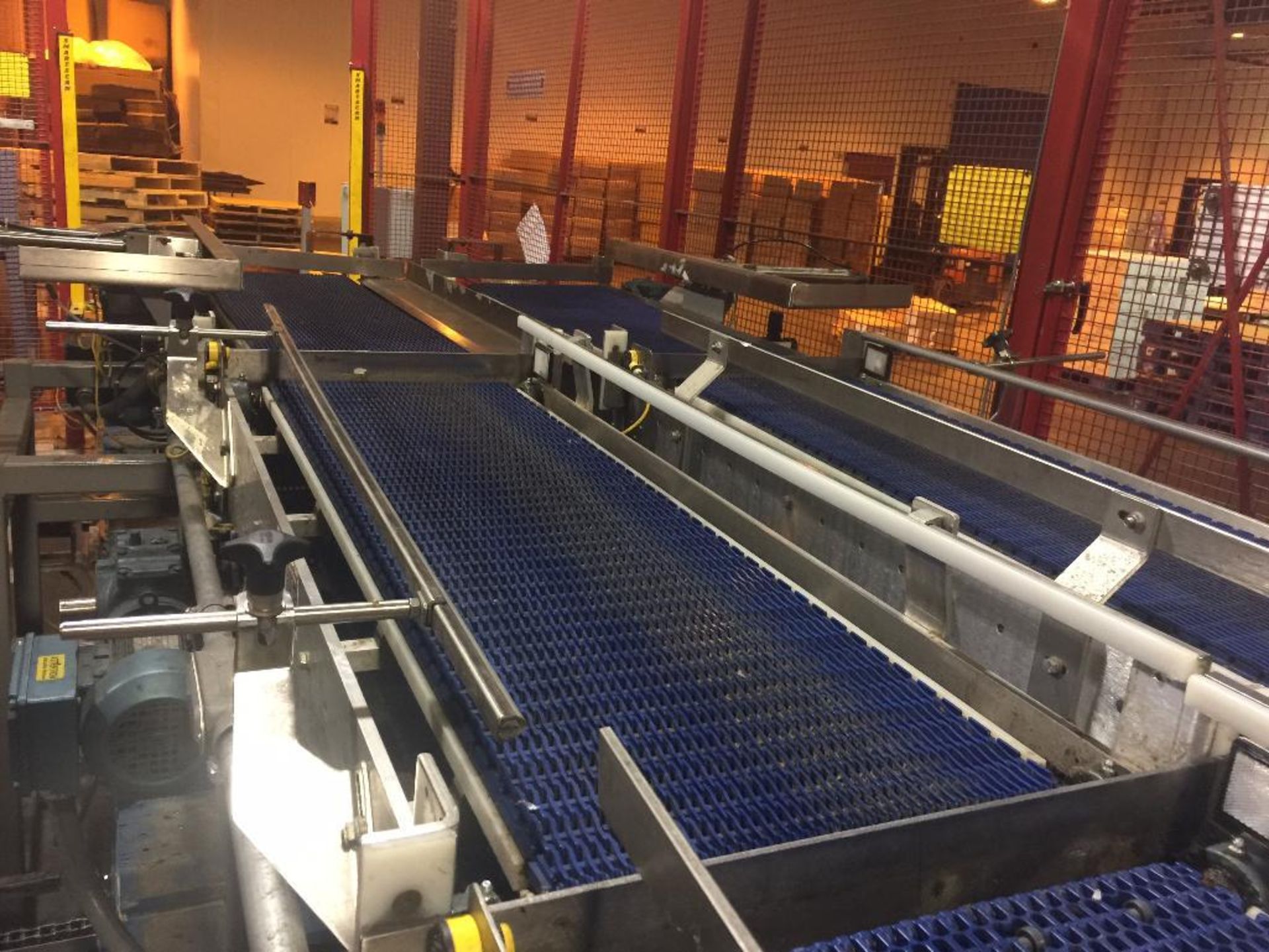 2005 Flexicell robotic dual pallet palletizer, SN 170, single lane infeed from one side, 30 ft. long - Image 26 of 40