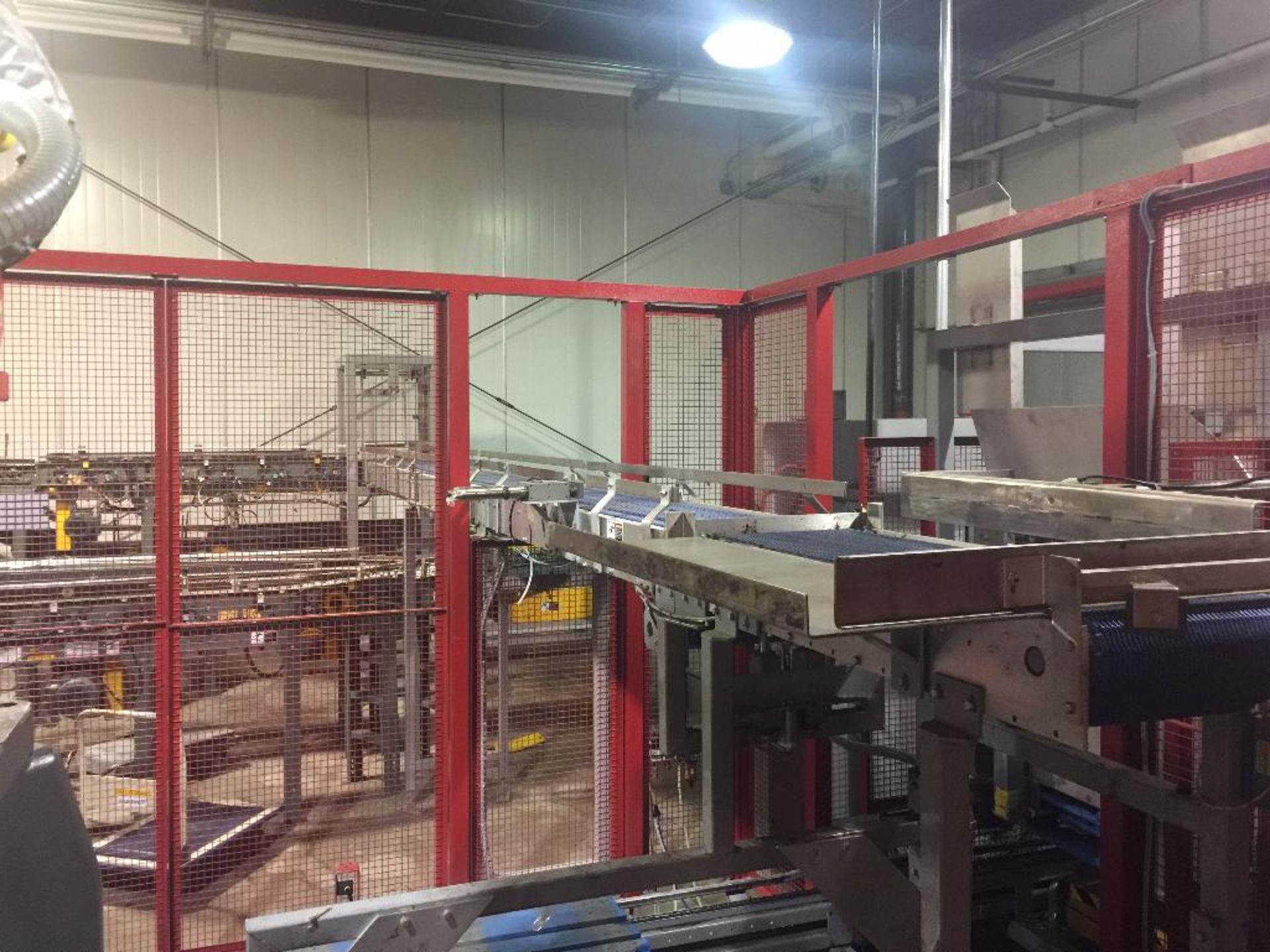 2005 Flexicell robotic dual pallet palletizer, SN 170, single lane infeed from one side, 30 ft. long - Image 40 of 40