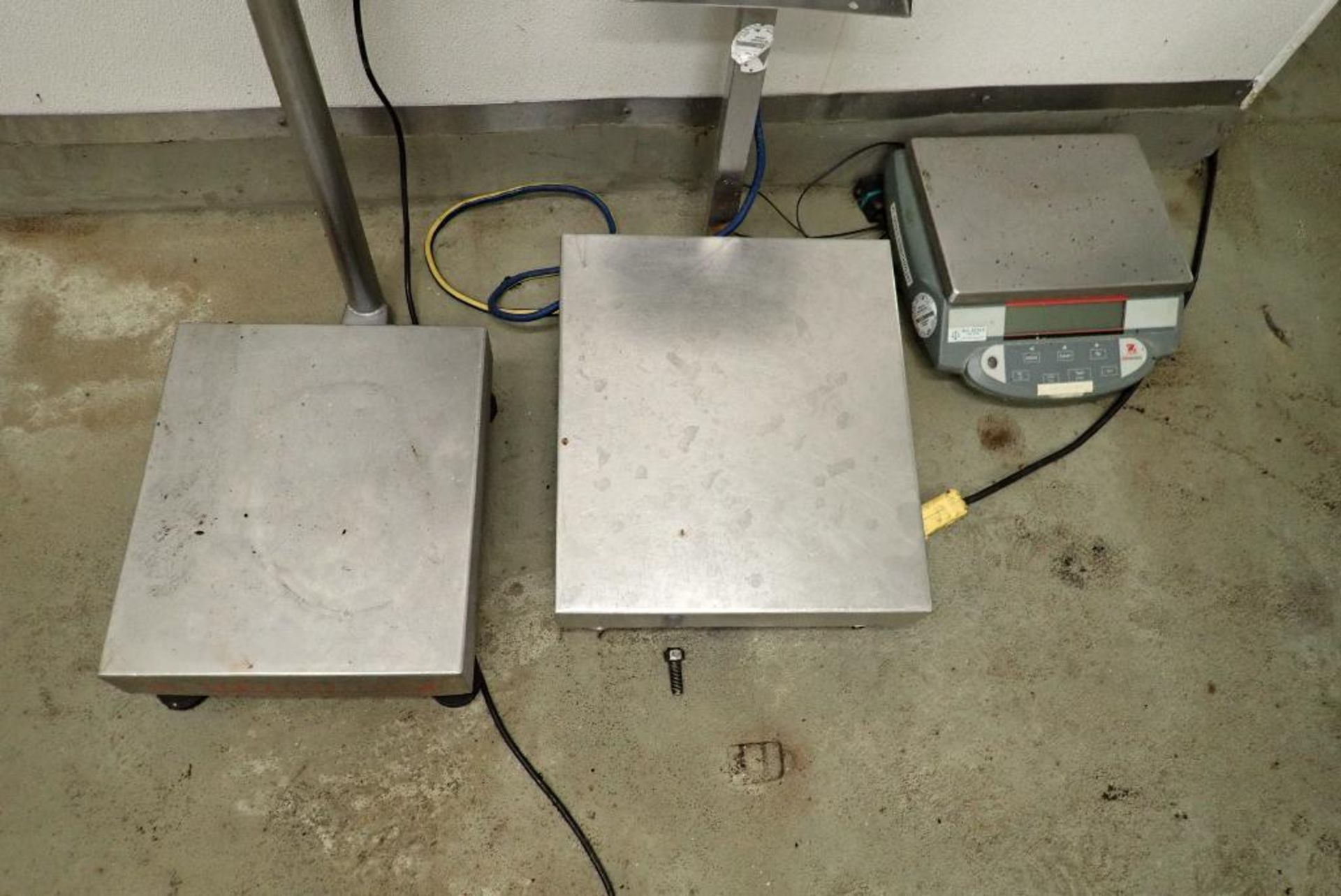 (3) table top scales, Cardinal bench scale, 6 kg capacity, 12 in. x 14 in. platform, Rice Lake IQPLU - Image 2 of 10