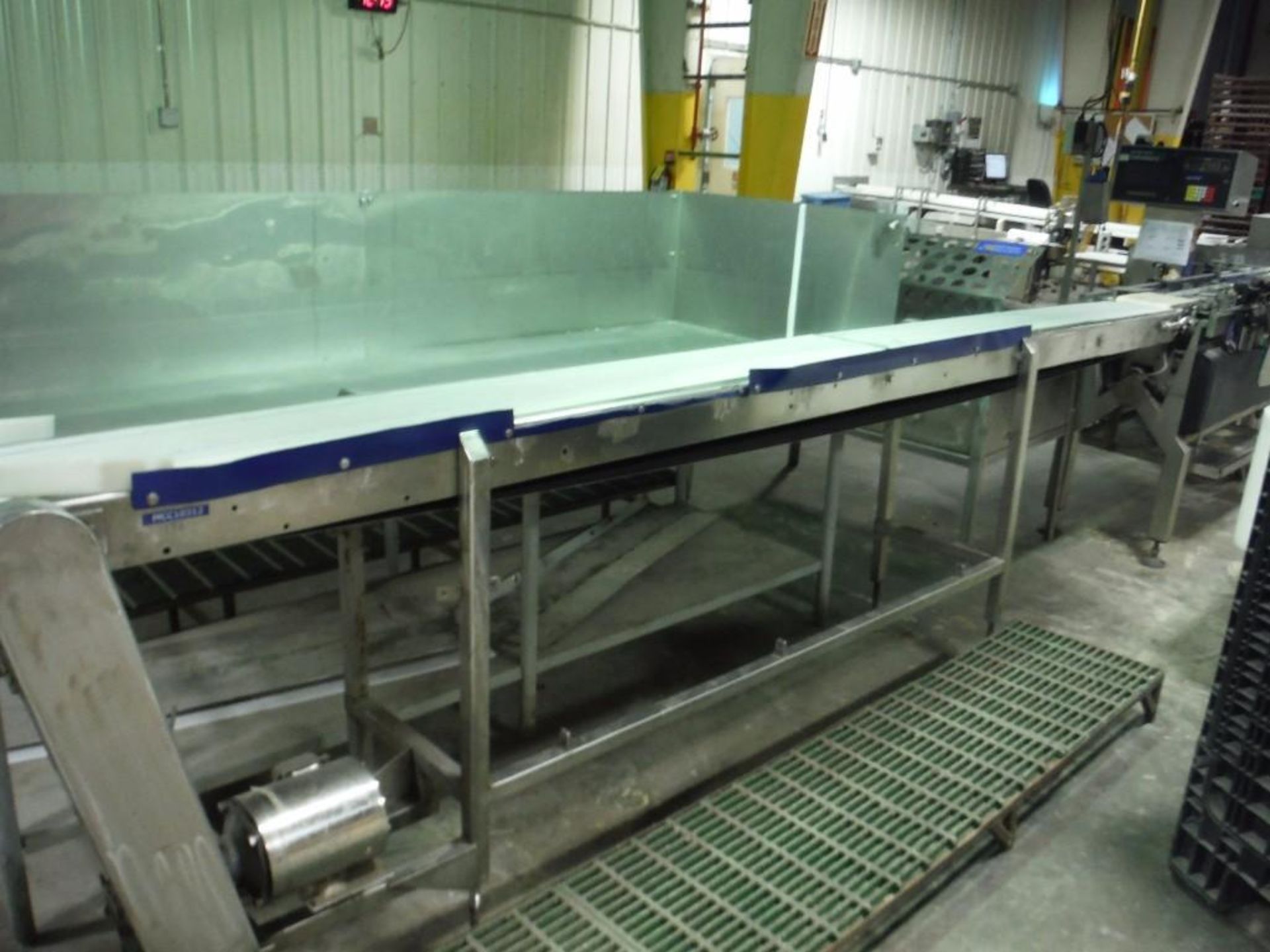 SS conveyor {Located in Marshall, MN}