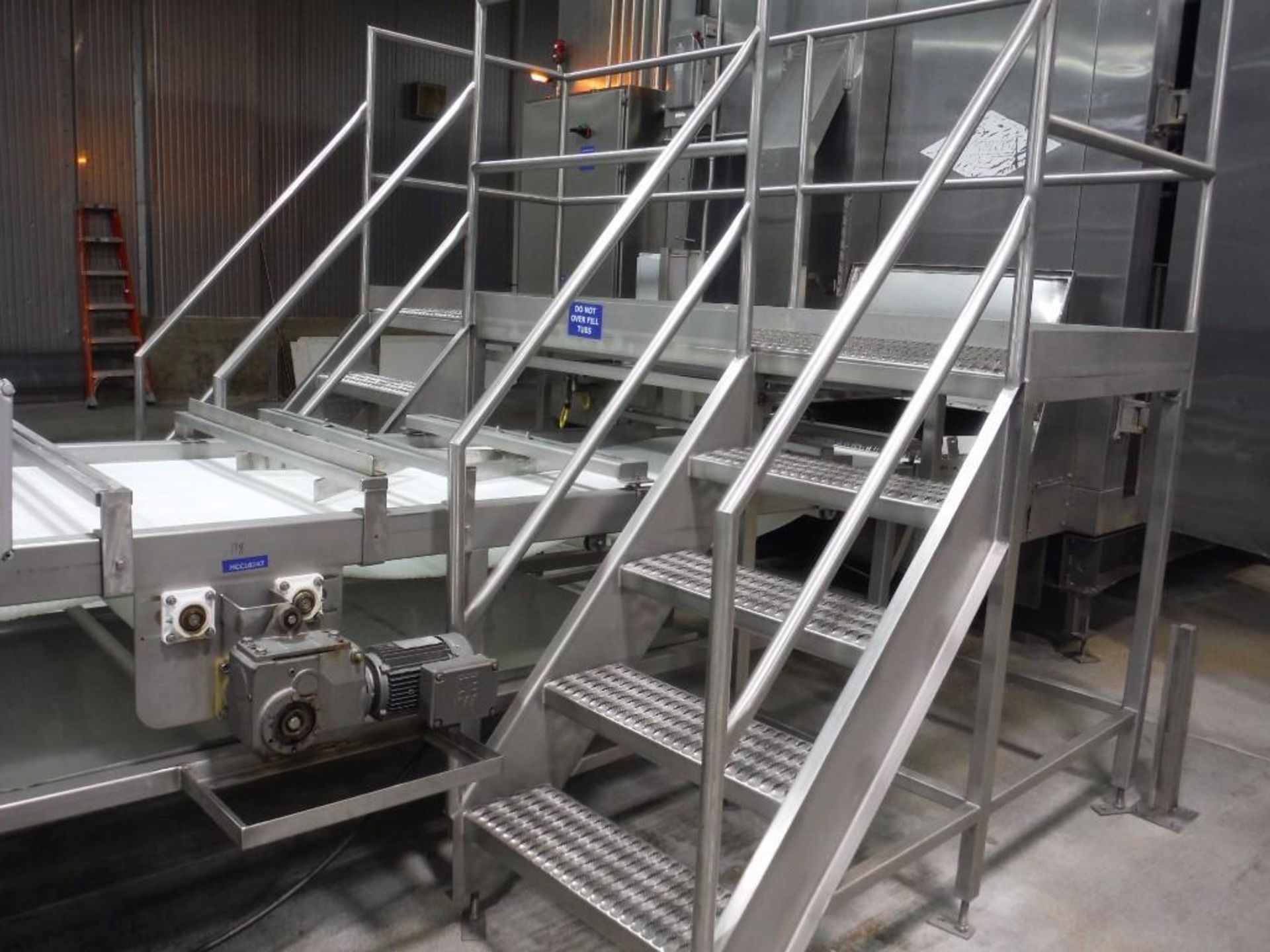 SS conveyor 4-step cross-over {Located in Marshall, MN}