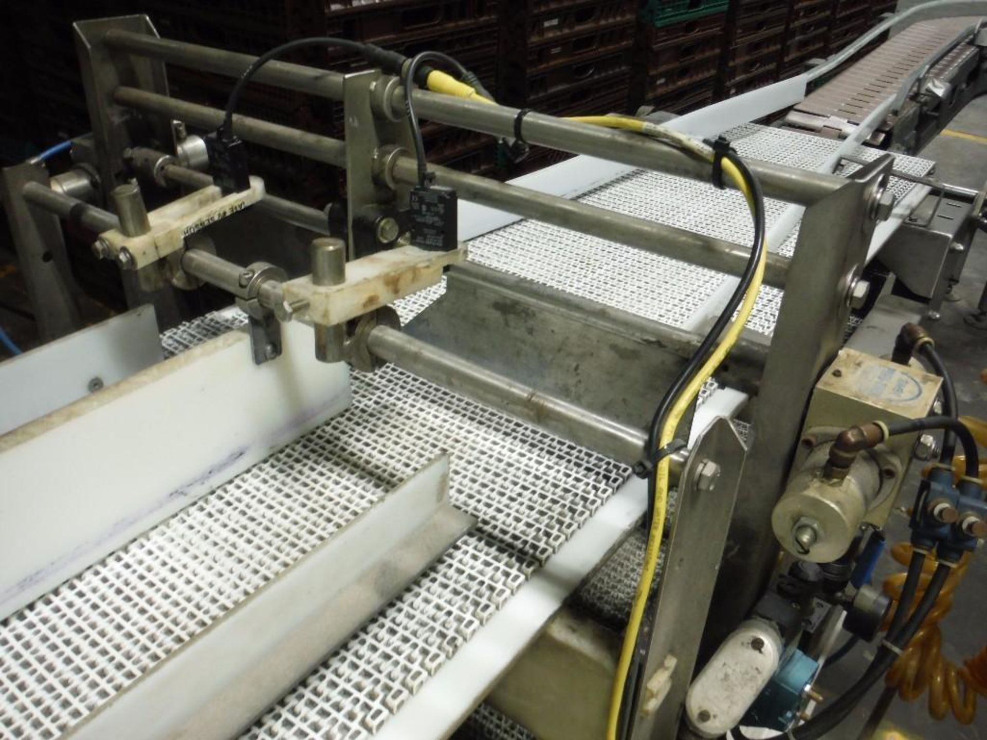 Ramsey SS conveyor {Located in Marshall, MN} - Image 3 of 6