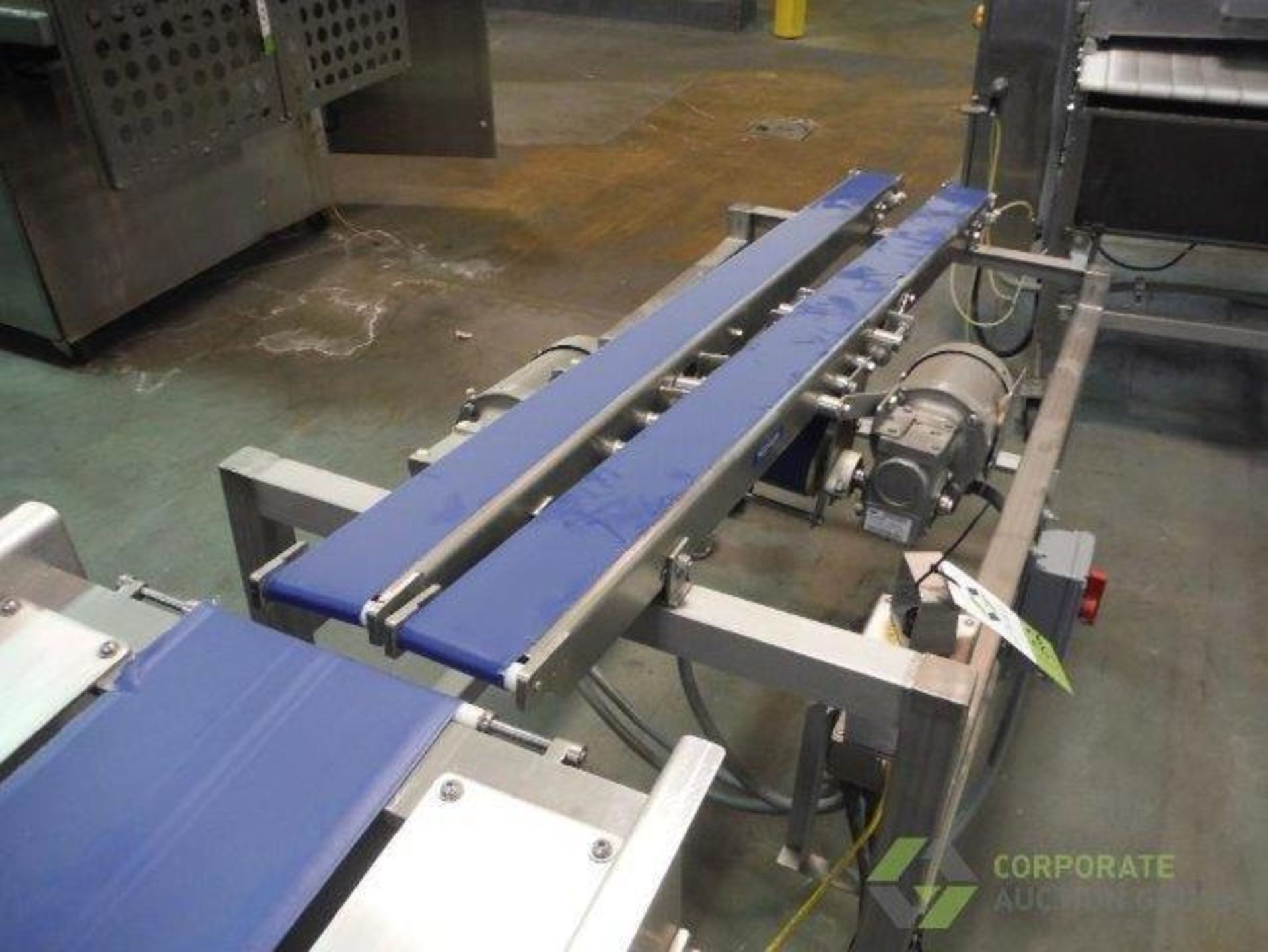 BMI dual lane belt conveyor {Located in Marshall, MN} - Image 3 of 10