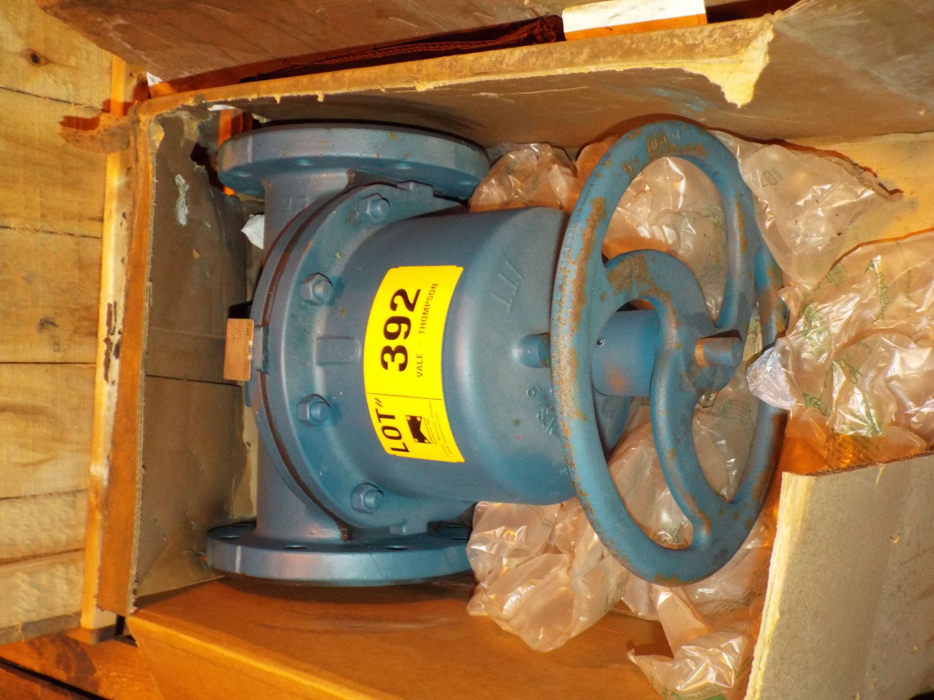 LOT/ CONTENTS OF SKID - (1) 6" FLANGED VALE, (1) DIAPHRAGM VALVE, (1) STRAIGHTWAY VALVE