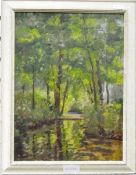 Unattributed (20th century school) Oil on board Woodland scene, unsigned,