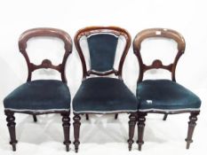 Eight assorted Victorian balloon back dining chairs, all upholstered in blue velvet to match,