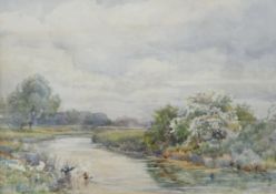 Edward Davies (1841-1920) Watercolour Ducks on river scene, signed lower left, 26.