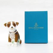 Royal Crown Derby charity paperweight entitled "Colin the Puppy",