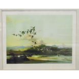 After Vernon Ward Colour print Ducks in flight over lowland landscape,