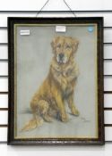 Meg Burns (20th century school) Pastel study Portrait of golden retriever, signed lower right,