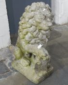 Pair of stone-effect garden lions, each holding a shield in his paw, on a rectangular plinth base,