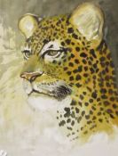 Unattributed Three watercolours Two studies of leopards and another of a tiger,