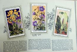 Small quantity of cigarette cards to include Wills "An Album of Wild Flowers",