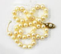 Cultured pearl single strand necklace with 9ct gold clasp