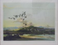 After Vernon Ward Colour print Ducks in flight over lowland landscape,