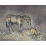 Jean Parry Williams (1918-2010) Oil on canvas Study of a horse with foal, signed lower left,