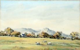 Elizabeth Homes Watercolour drawing Sheep in landscape with hills in distance,