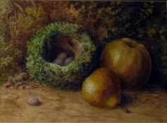 Watercolour drawing Still life study of eggs in nest, with apple and pear,