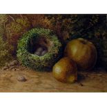 Watercolour drawing Still life study of eggs in nest, with apple and pear,