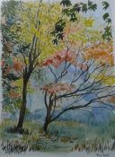 Mary Dodd (20th century school) Watercolour drawing Autumnal trees, signed lower right,