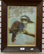 Violet Bartlett (late 19th/early 20th century Australian) Oil on canvas Kookaburra perched on a