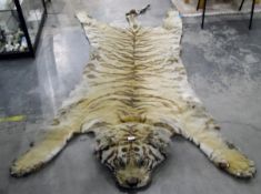 Tiger skin rug, the head having inset glass eyes and painted composition nose,