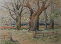 Fred Bollands Watercolour drawing Autumn woodland, signed lower right,