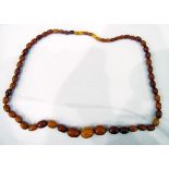 Butterscotch amber necklace with graduated beads,