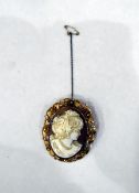 9ct gold mounted cameo brooch, with foliate border,