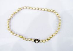 String of cultured pearls, 9ct gold clasp,