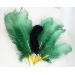 Green and bakelite ostrich feather fan (one stick broken) with a black ostrich feather