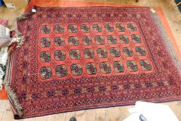 Afghan wool rug, red ground with madder field, elephant foot pattern guls with multiple guard