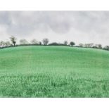 David Gentleman (b.1930)  Watercolour  "Cornfields with Hedgerow, Suffolk", painted 2004, Fine Art