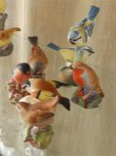 Royal Worcester model birds to include 'Wren', 'Robin', 'Bluetits' and others (6)